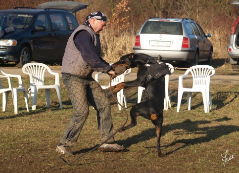 The christmas training 27.12.2006